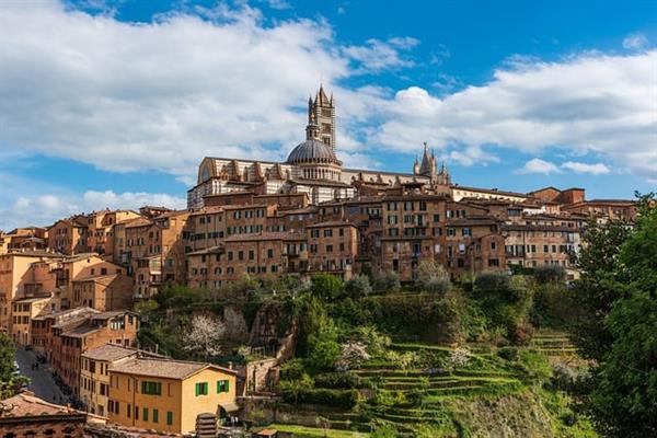 Siena pogled