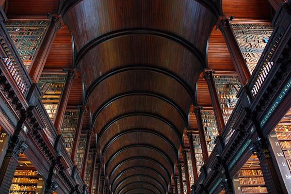 Dublin knjižnica