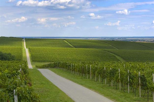 BARANJA, OSIJEK I ĐAKOVO